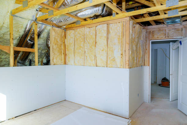 Best Insulation Removal  in Dupont, PA